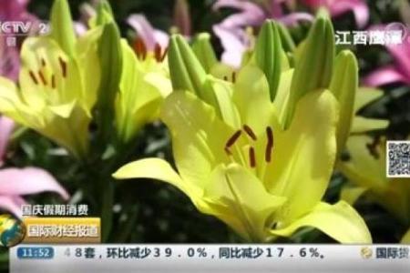 苗族苗年：歌舞庆丰收，传承传统习俗