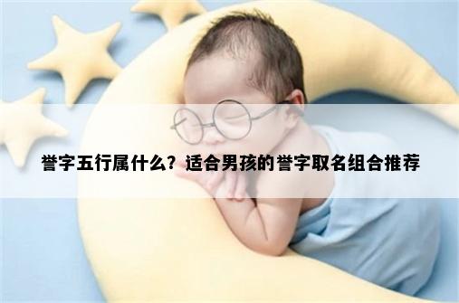 誉字五行属什么？适合男孩的誉字取名组合推荐