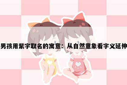 男孩用紫字取名的寓意：从自然意象看字义延伸