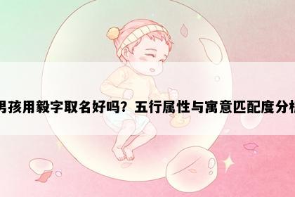 男孩用毅字取名好吗？五行属性与寓意匹配度分析