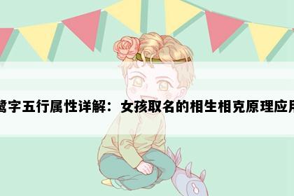 鹭字五行属性详解：女孩取名的相生相克原理应用