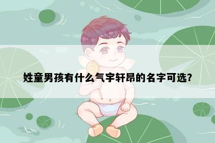 姓童男孩有什么气宇轩昂的名字可选？