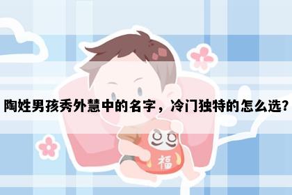 陶姓男孩秀外慧中的名字，冷门独特的怎么选？