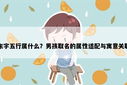 东字五行属什么？男孩取名的属性适配与寓意关联