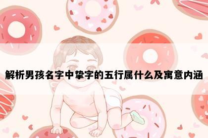 解析男孩名字中挚字的五行属什么及寓意内涵