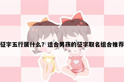 征字五行属什么?适合男孩的征字取名组合推荐