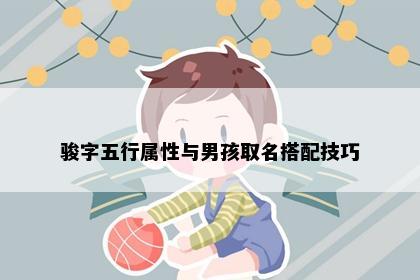 骏字五行属性与男孩取名搭配技巧